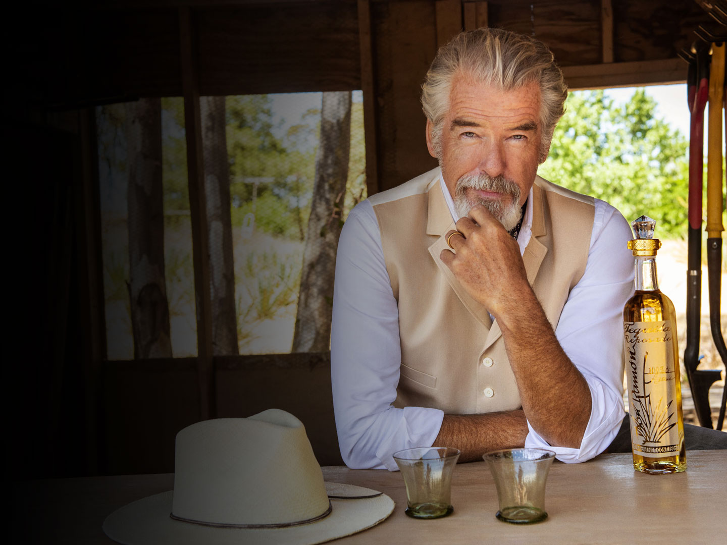 Brand Ambassador Pierce Brosnan