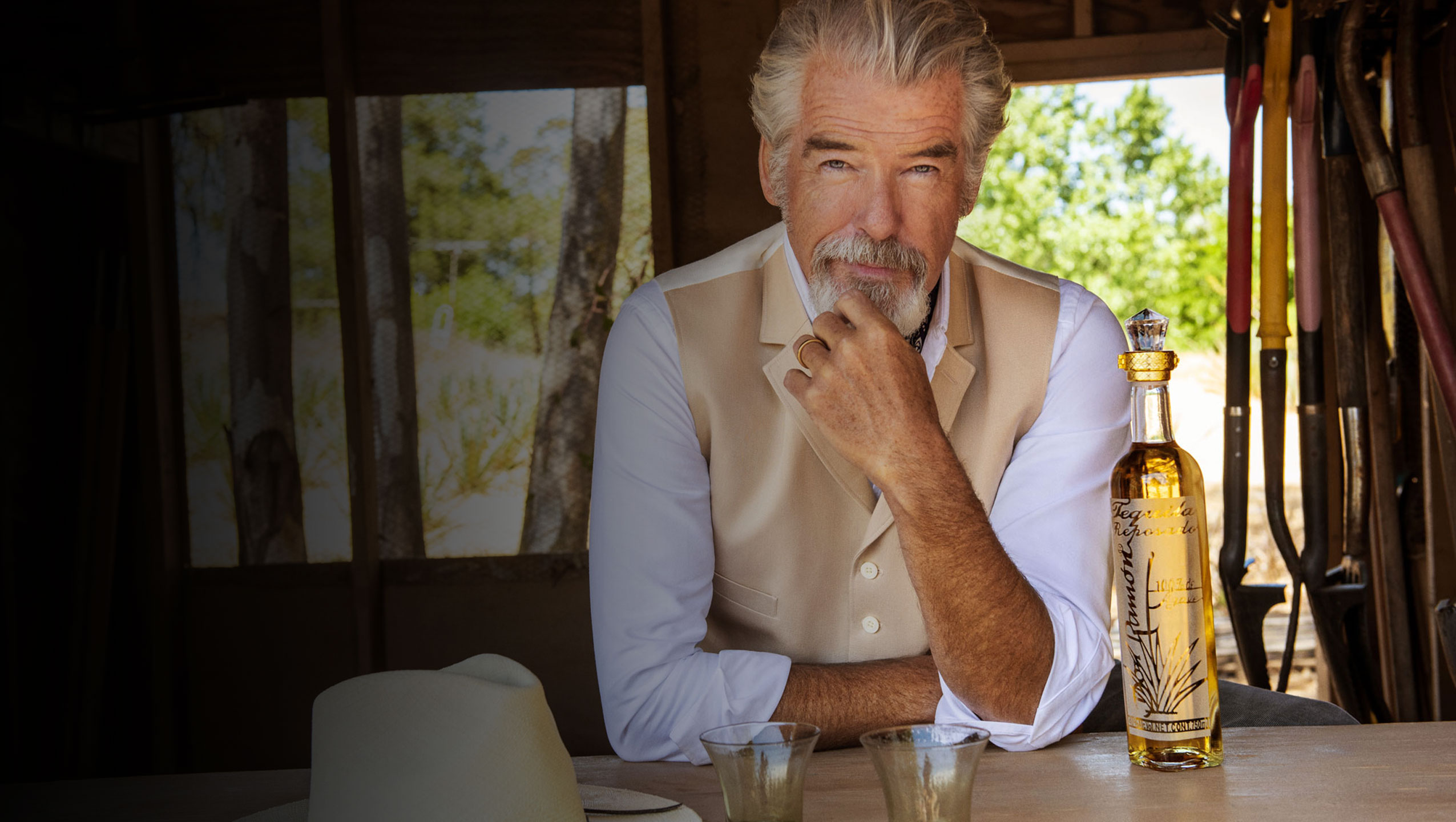 Brand Ambassador Pierce Brosnan