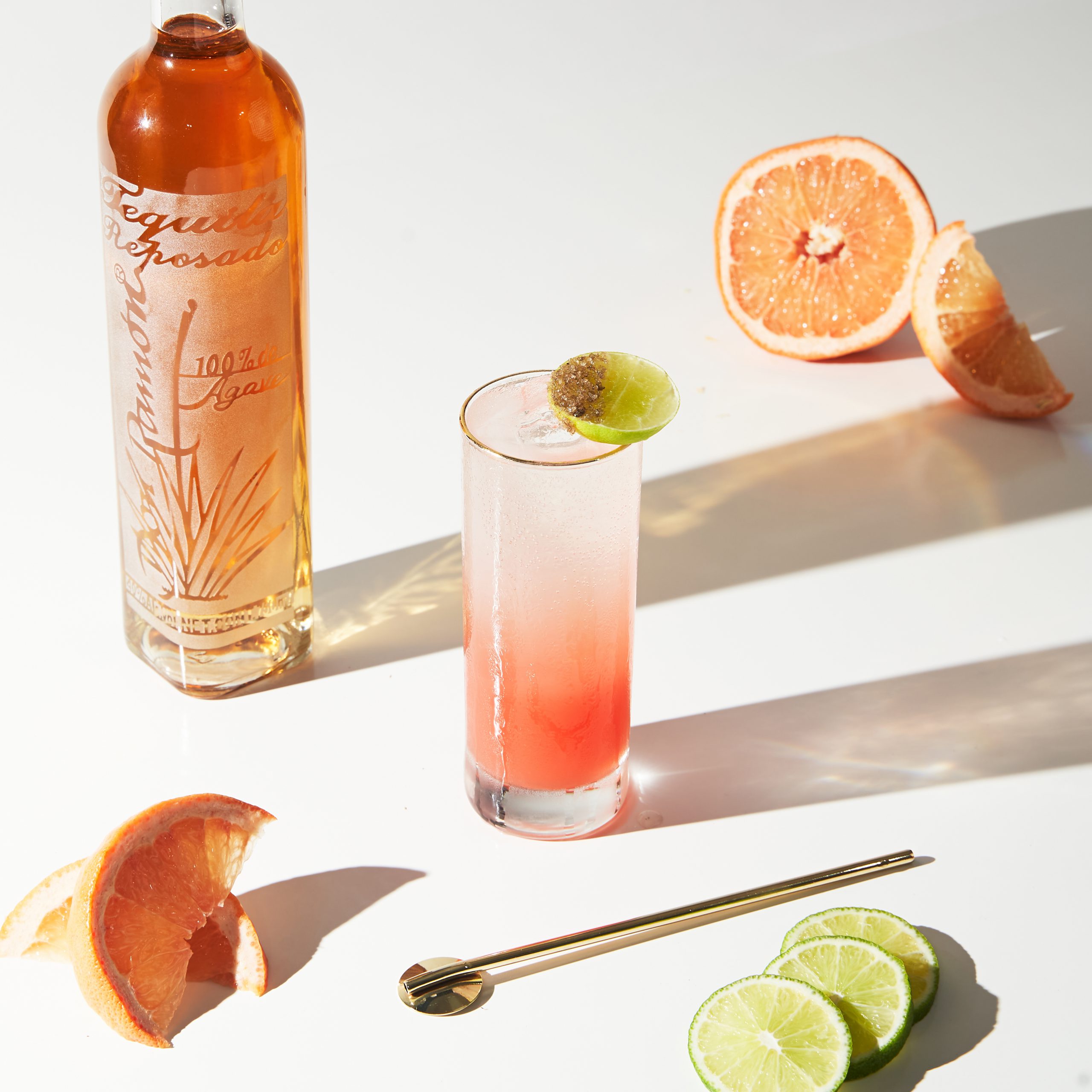 PALOMA