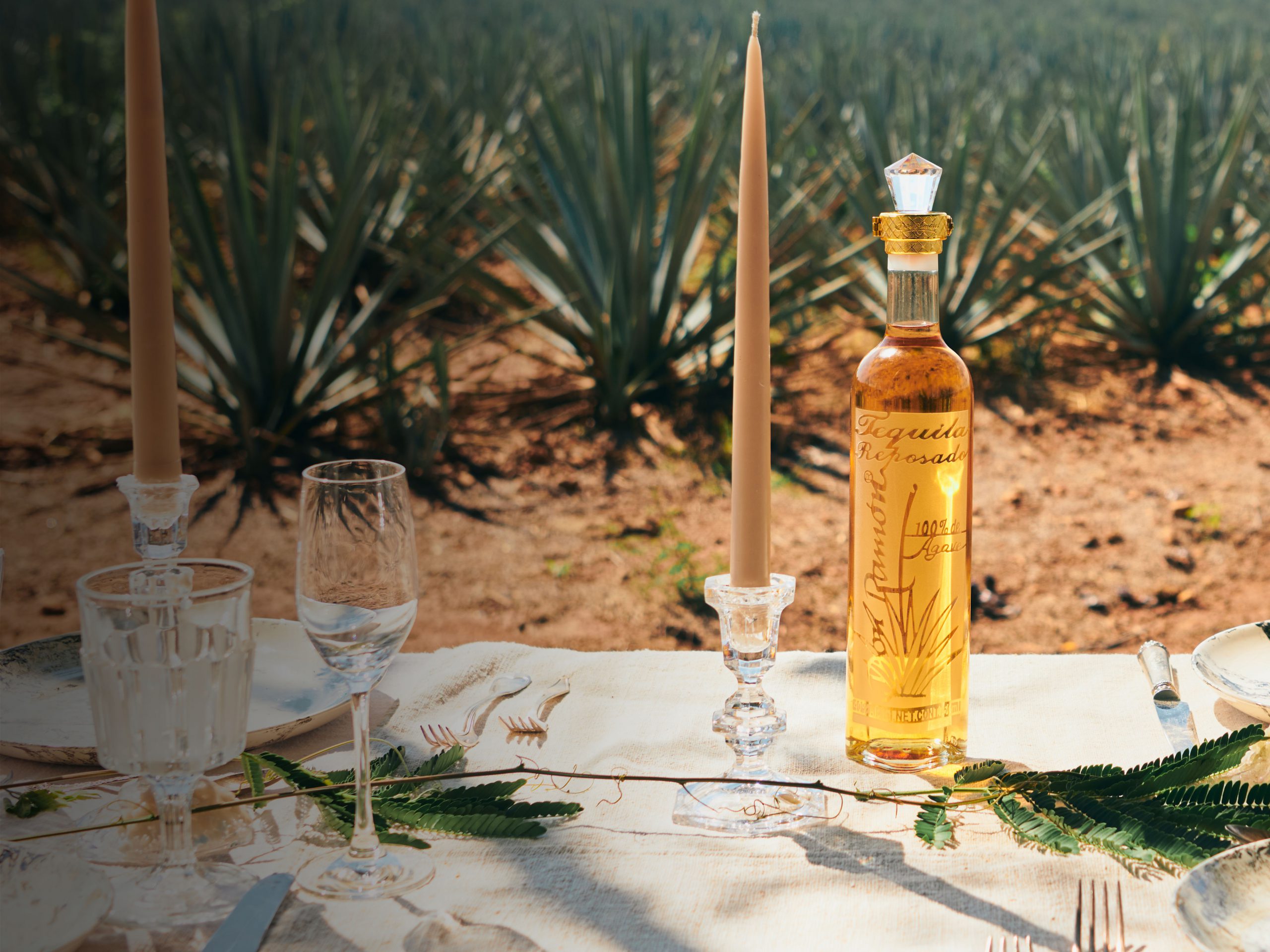 Bottles Of Don Ramón Punta Diamante
