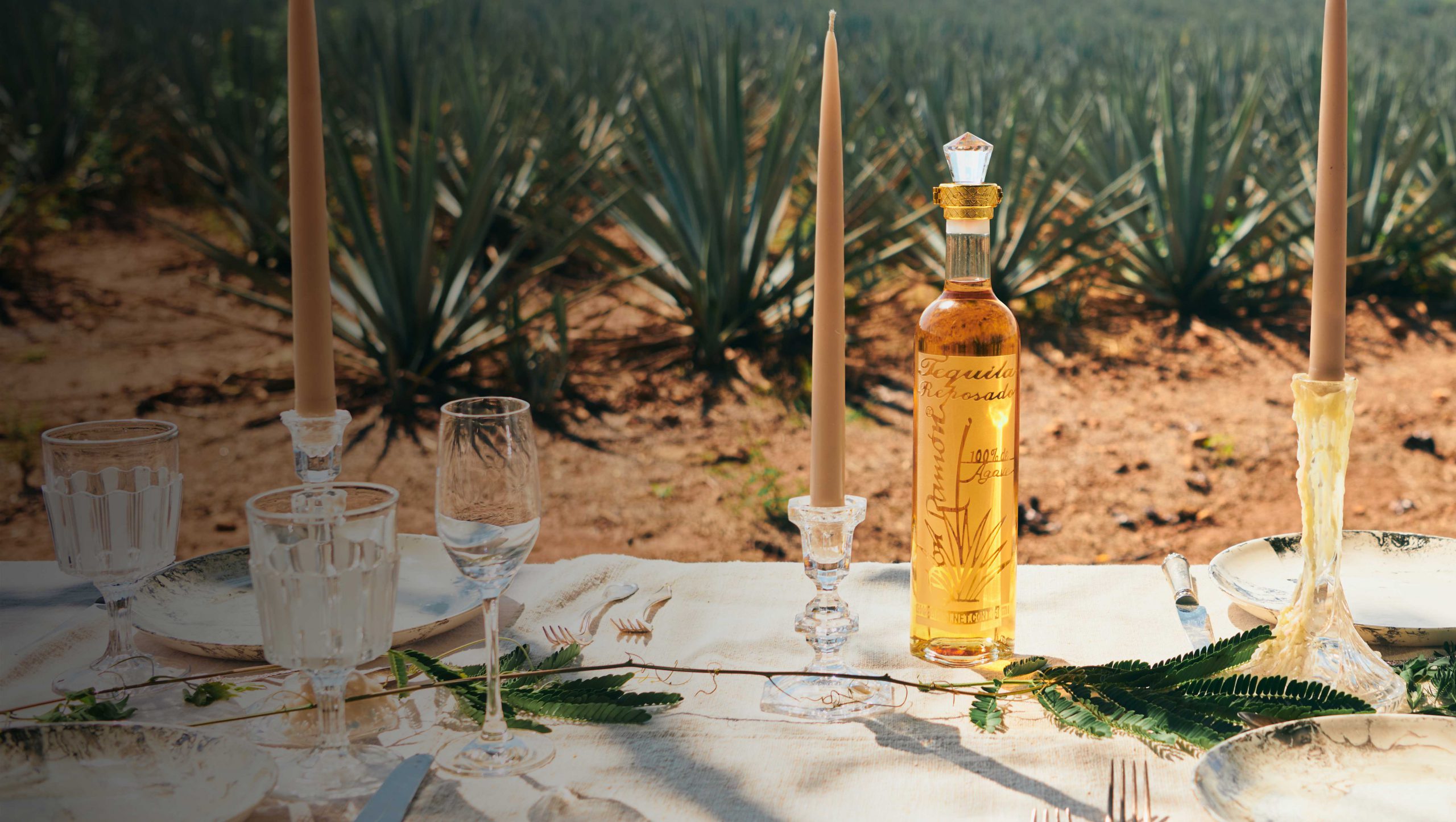 Bottles Of Don Ramón Punta Diamante