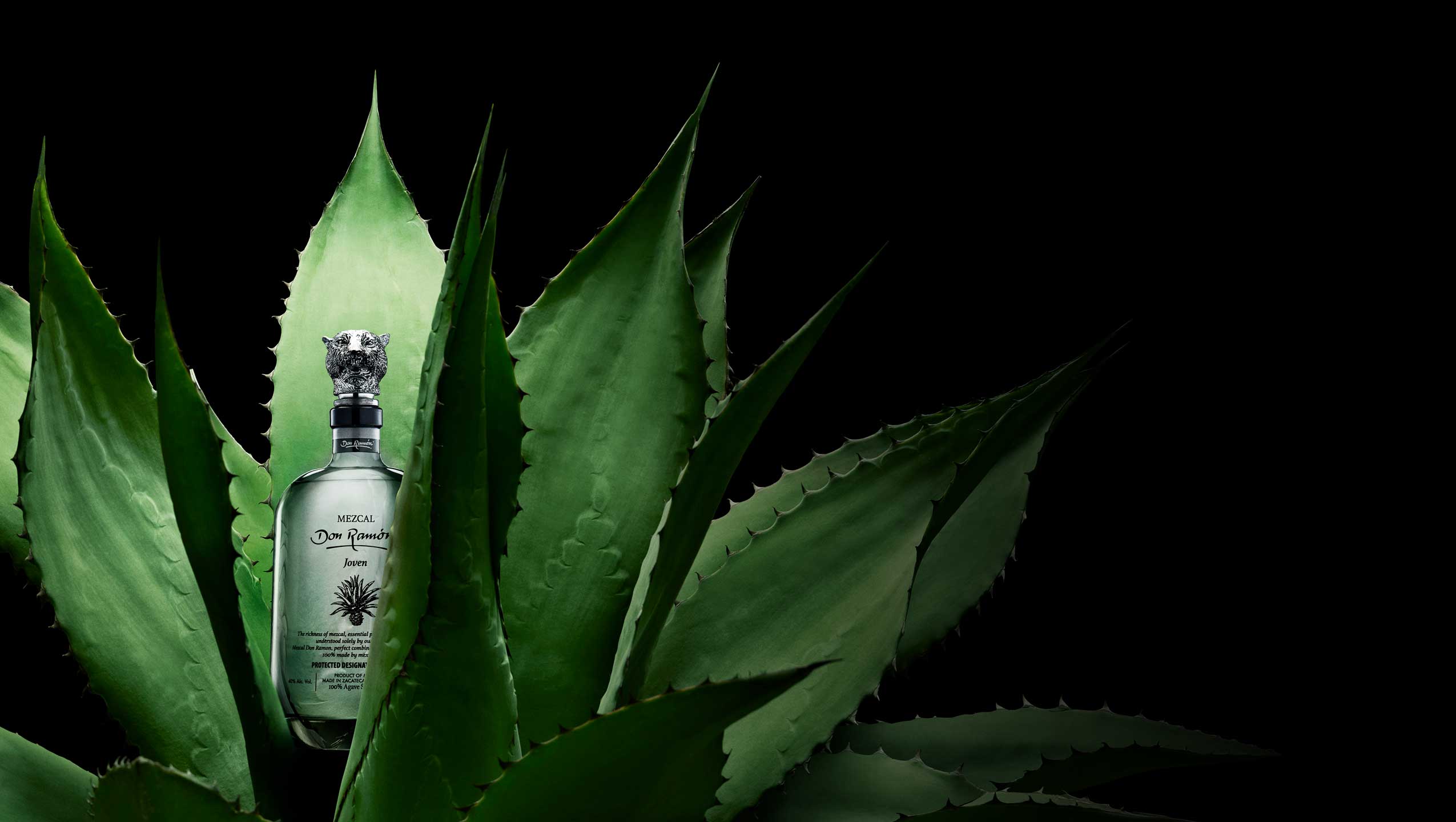 Bottles Of Don Ramón Limited Edition